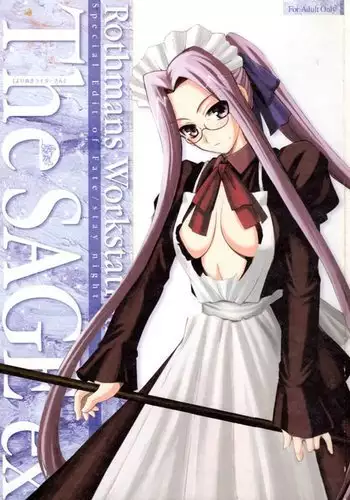 The SAGE ex Yoru Nuki Rider-san