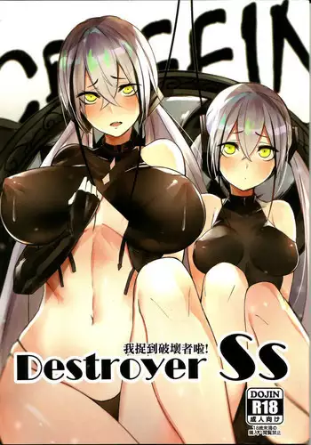 (FF31)<??>Destroyer SS ???????(Girl's Frontline)
