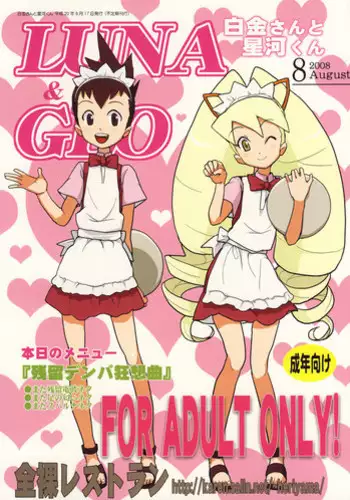 (C74) [Zenra Restaurant (Heriyama)] Shirogane-san to Hoshikawa-kun (Mega Man Star Force)