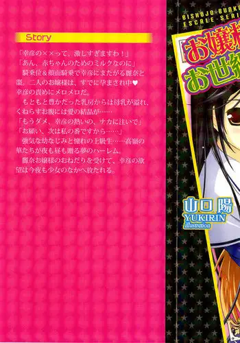 お嬢様☆お世継ぎ生産計画