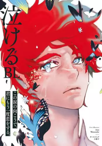 Nakeru BL [MAGAZINE BE×BOY 2016-05]