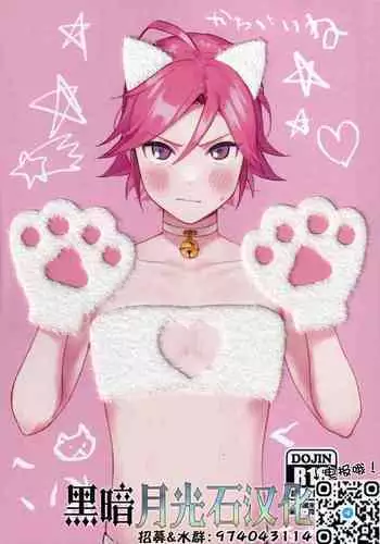 Kawaii Neko Haku-chan