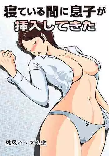 Neteiru ma ni Musuko ga Sounyuushitekita