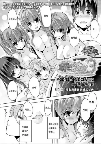 妹ぱらだいす!3