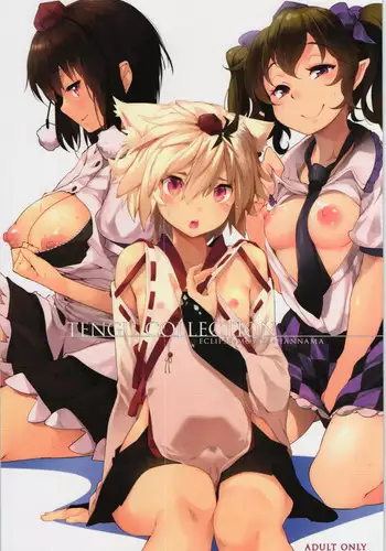 TENGU COLLECTION