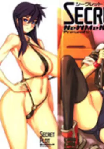 [NeWMeN] Secret Plot [Shinsouban]