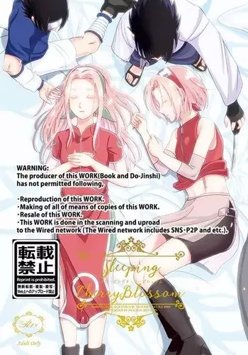 Sleeping Cherry Blossom