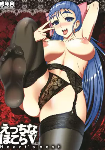 [Heart's nest (hato)] Ecchi na Hokora Vol. 5 (Dragon Quest V) [Digital]