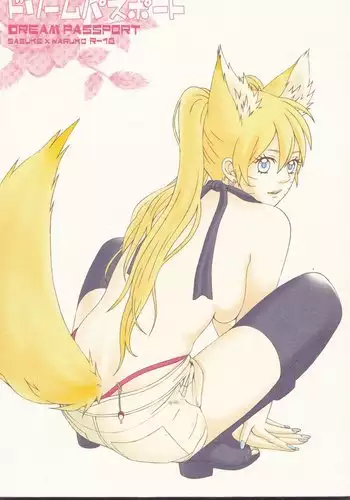 Dream Passport part 1