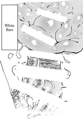 [Nyorutarou] The Weeny Corrections Manual [English]