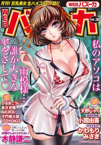 WEB Bazooka Vol.30